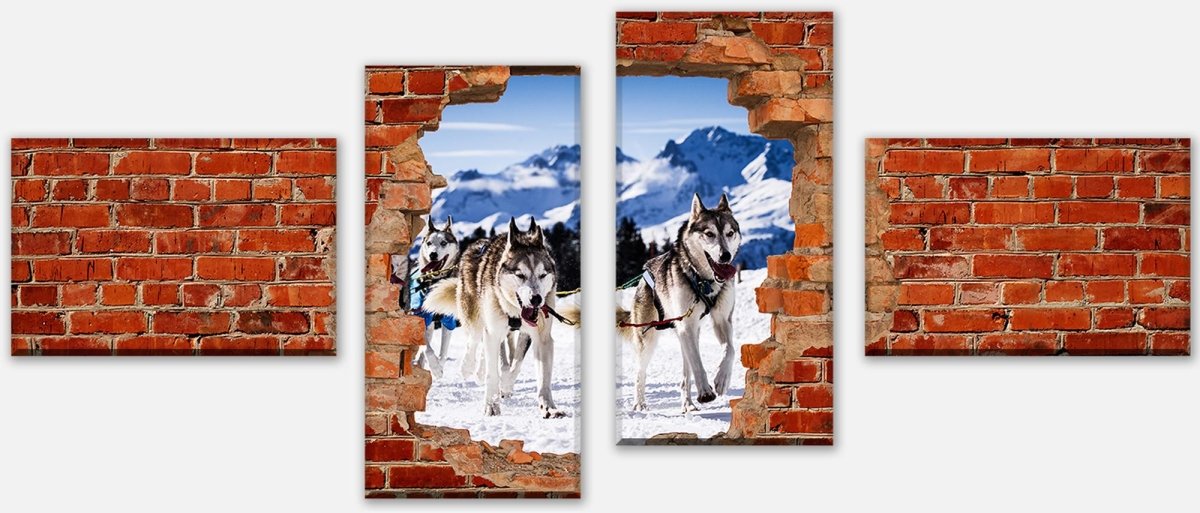 Stretched Canvas Print Sled Dogs In Racing - Red Brick M0685