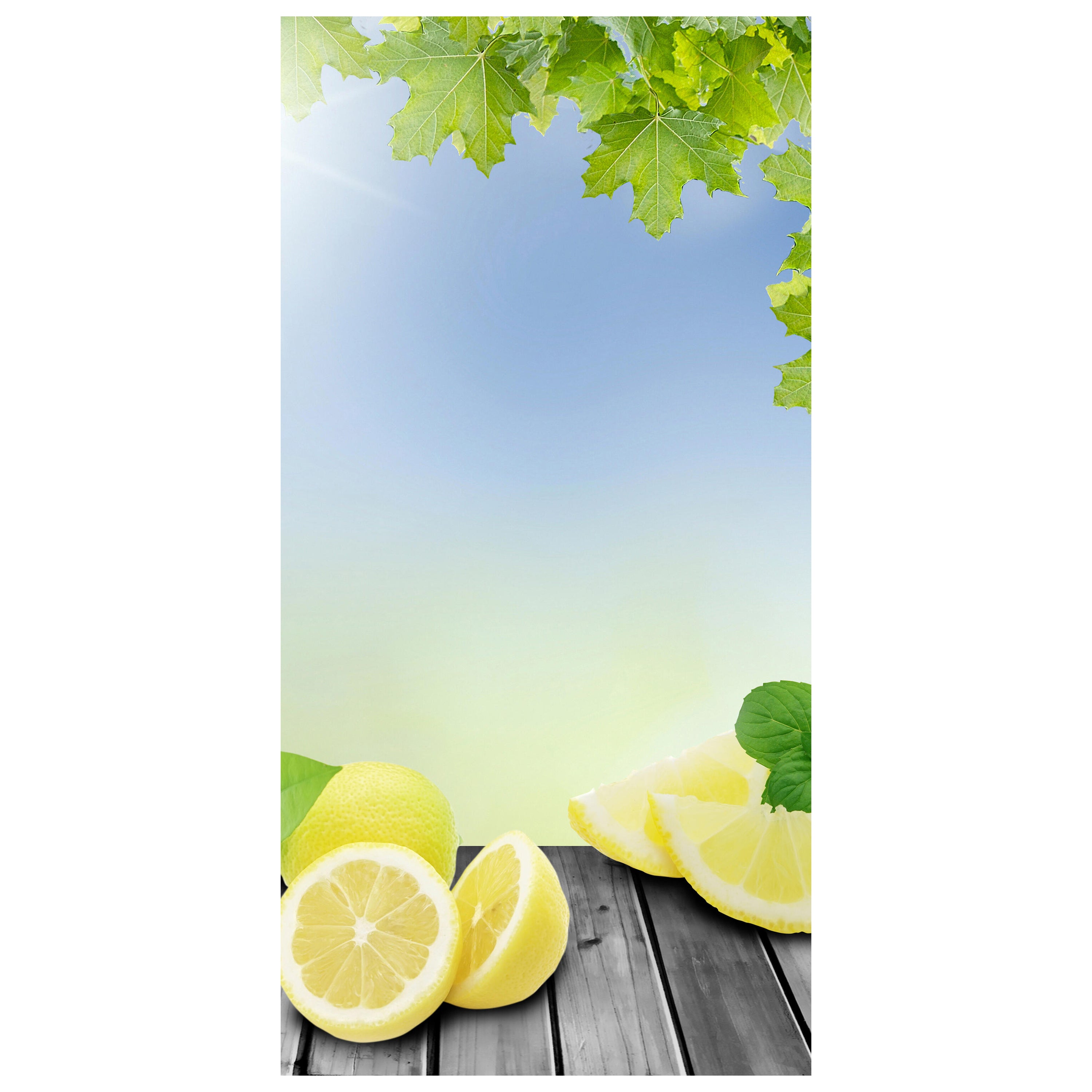 Türtapete Zitronen Grünen Hintergrund M0701 - Bild 2