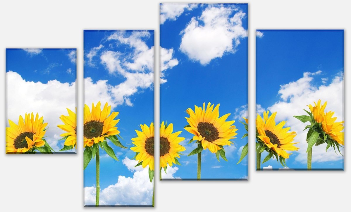 Leinwandbild Mehrteiler Sonnenblumen M0705