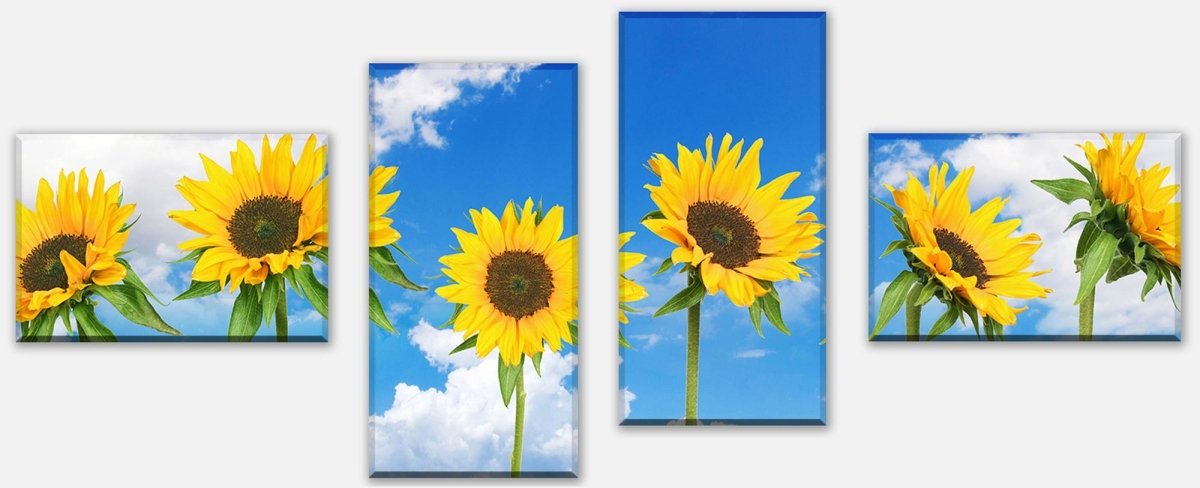 Leinwandbild Mehrteiler Sonnenblumen M0705