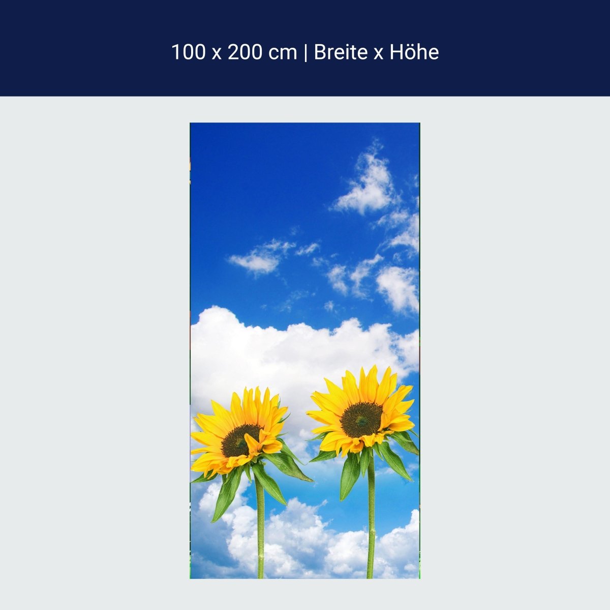 Türtapete Sonnenblumen M0705
