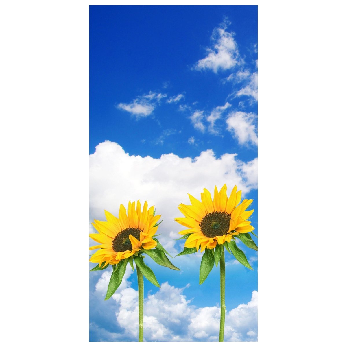 Türtapete Sonnenblumen M0705 - Bild 2