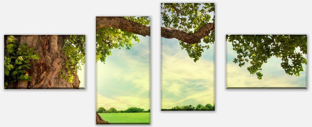 Stretched Canvas Print Spring Meadow M0715
