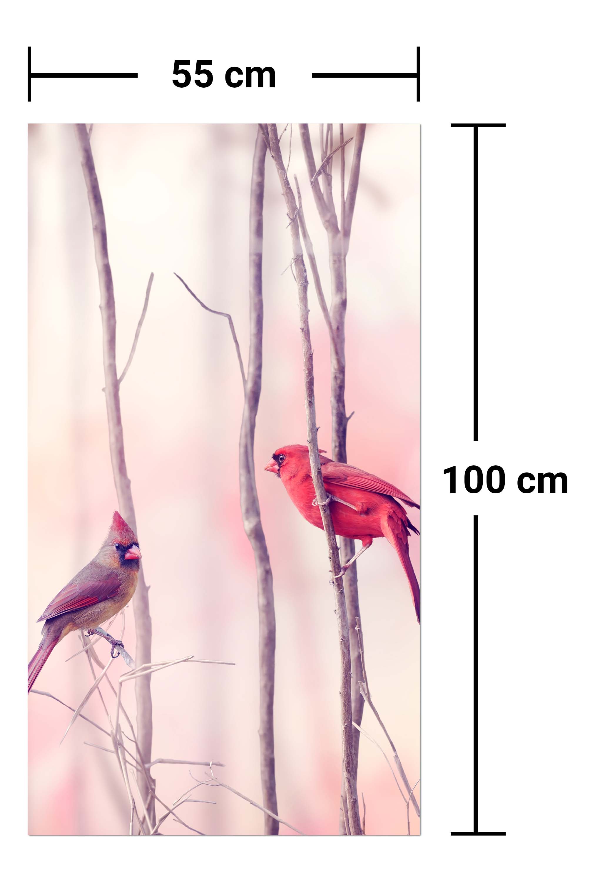Garderobe Kardinalvögel M0718 entdecken - Bild 7