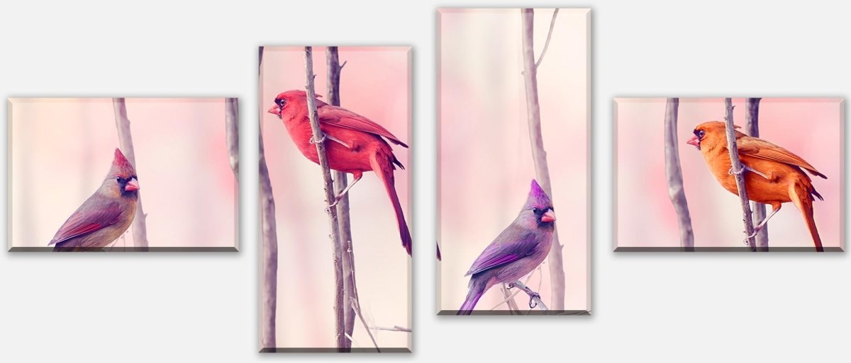 Leinwandbild Mehrteiler Kardinalvögel M0718