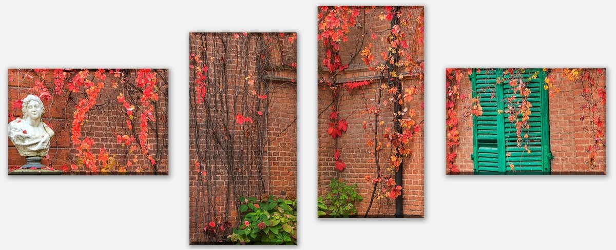 Canvas Print Multi-Piece Ivy with red leaves growing on a red wall M0789