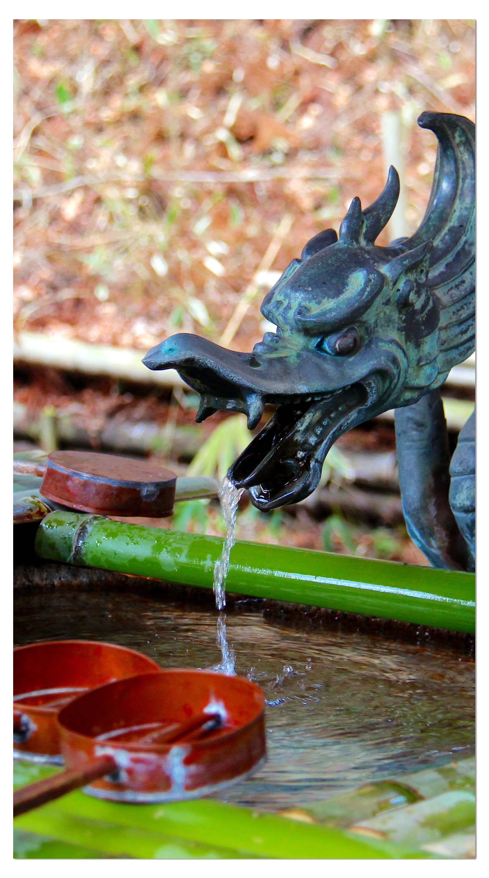 Garderobe Brunnen im japanischen Tempelgarten M0812 entdecken - Bild 4