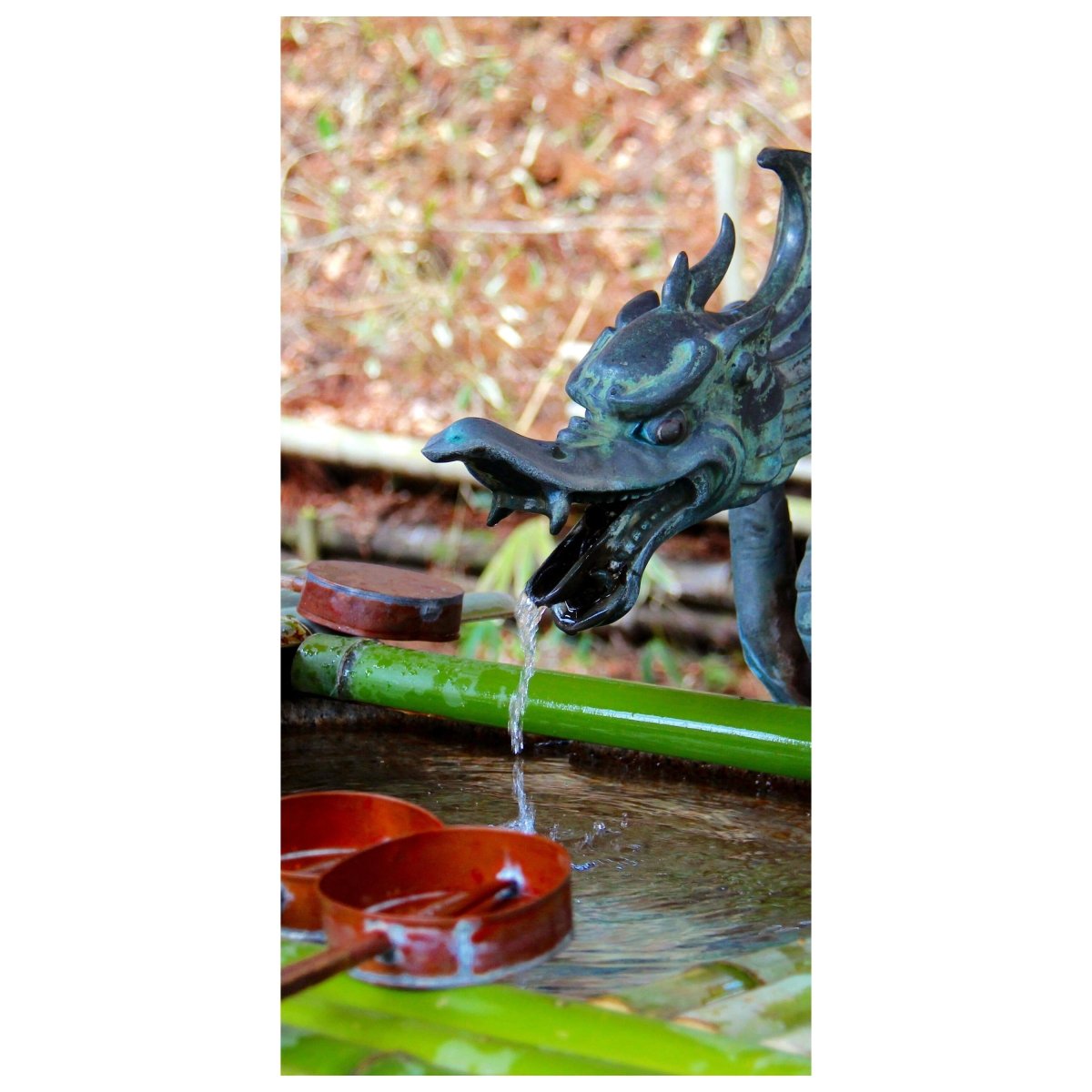 Türtapete Brunnen im japanischen Tempelgarten M0812 - Bild 2
