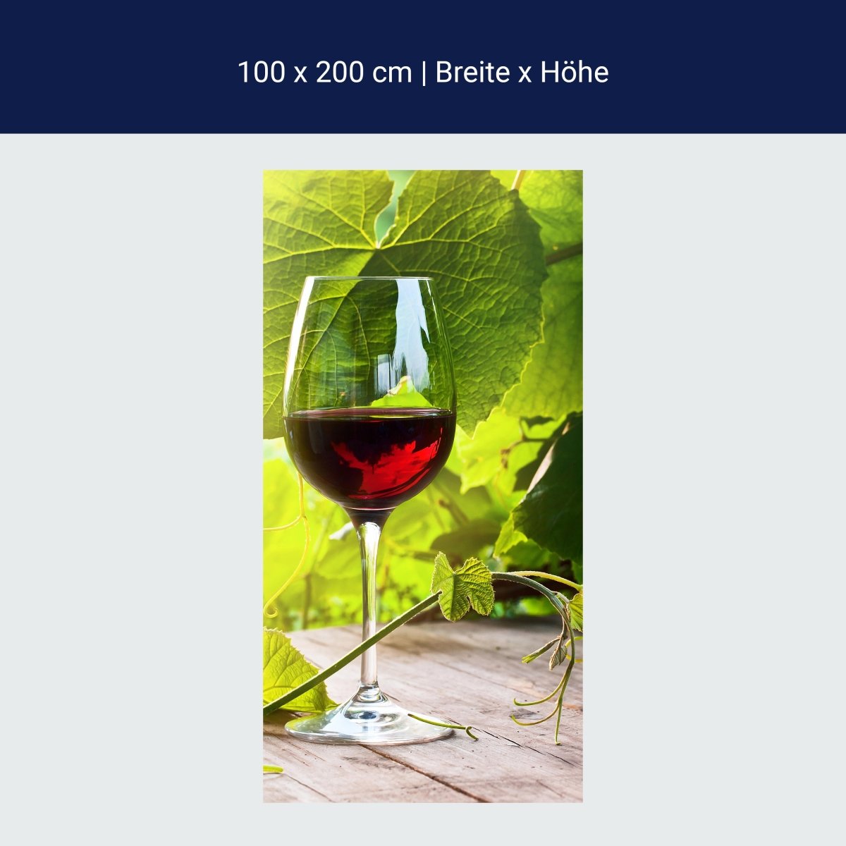Duschwand Glas mit Rotwein im Weinberg M0830