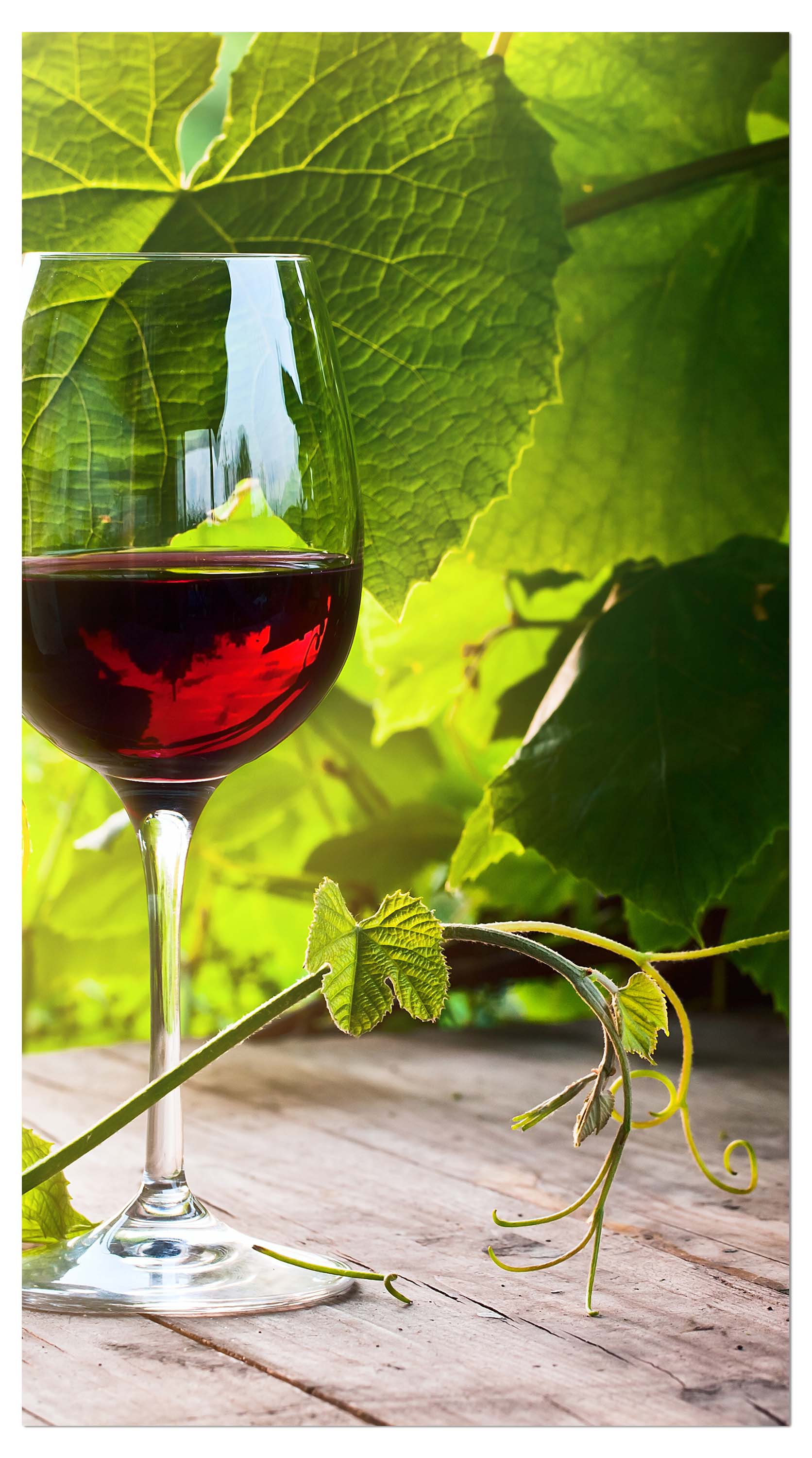 Garderobe Glas mit Rotwein im Weinberg M0830 entdecken - Bild 4
