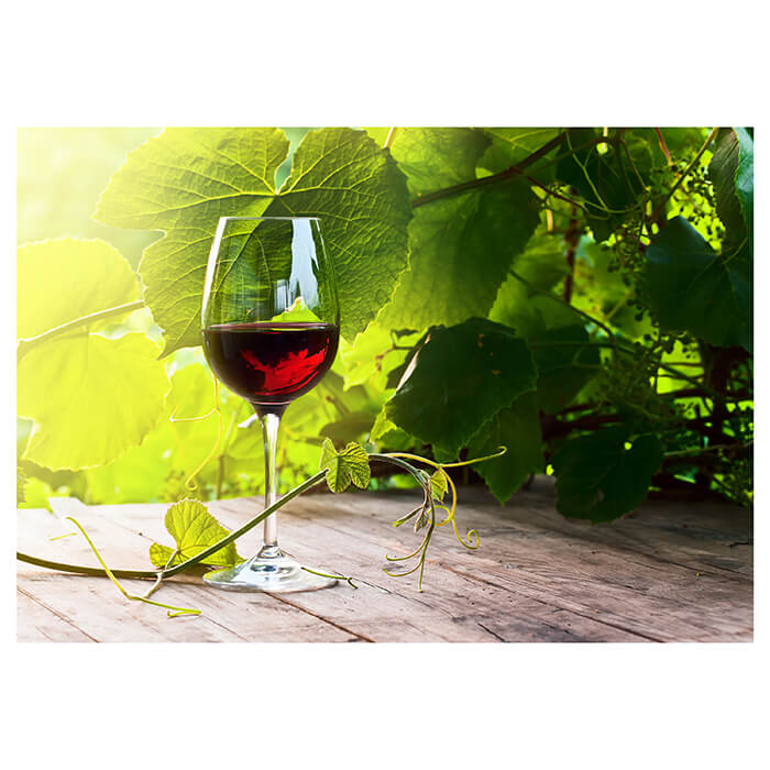 Fototapete Glas mit Rotwein im Weinberg M0830 - Bild 2