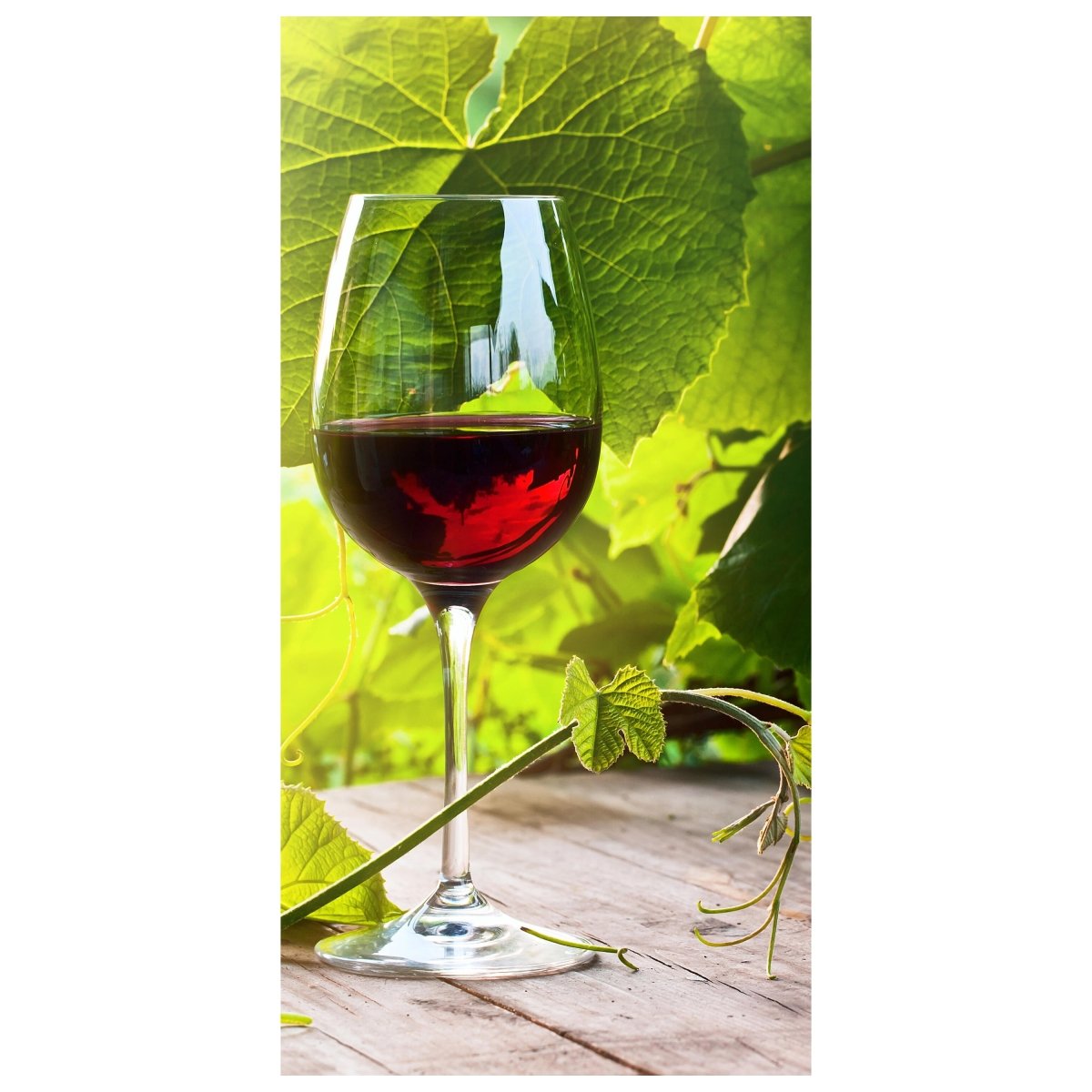 Türtapete Glas mit Rotwein im Weinberg M0830 - Bild 2