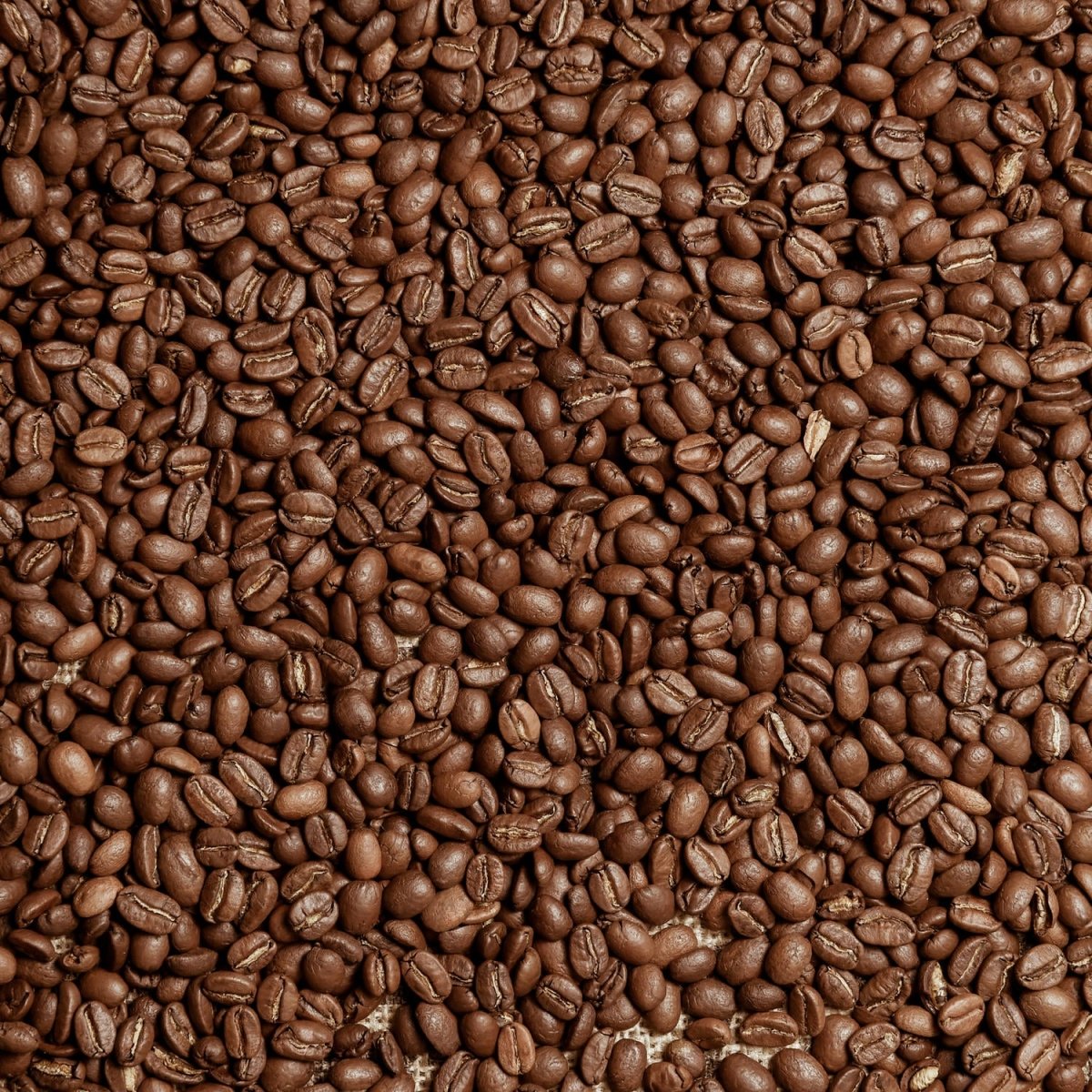 Beistelltisch Braune Kaffeebohne geröstet M0843 entdecken - Bild 2