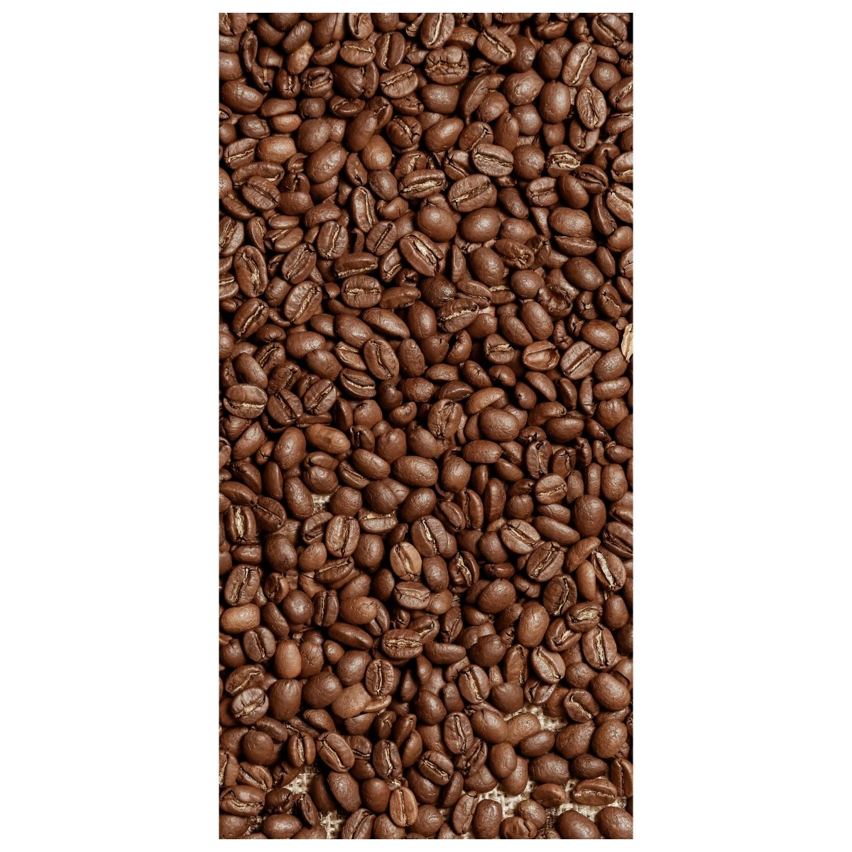 Türtapete Braune Kaffeebohne geröstet M0843 - Bild 2