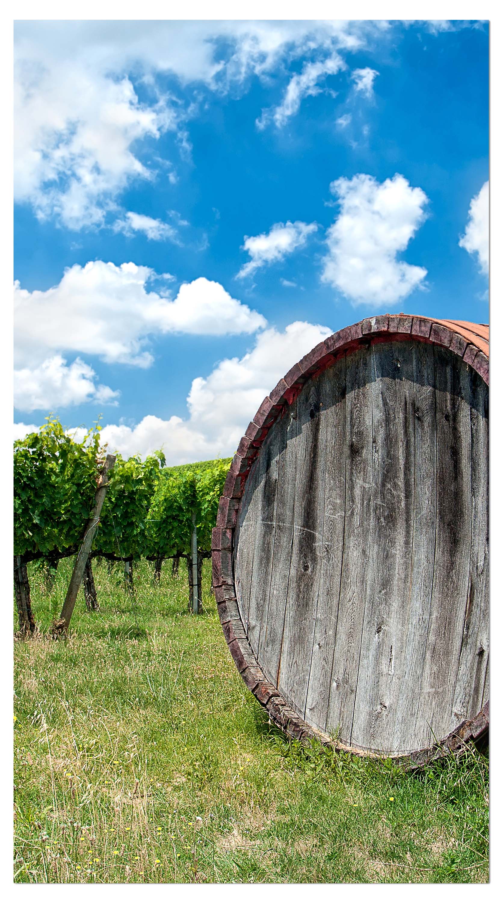 Garderobe Weinfass in der Toskana M0873 entdecken - Bild 4
