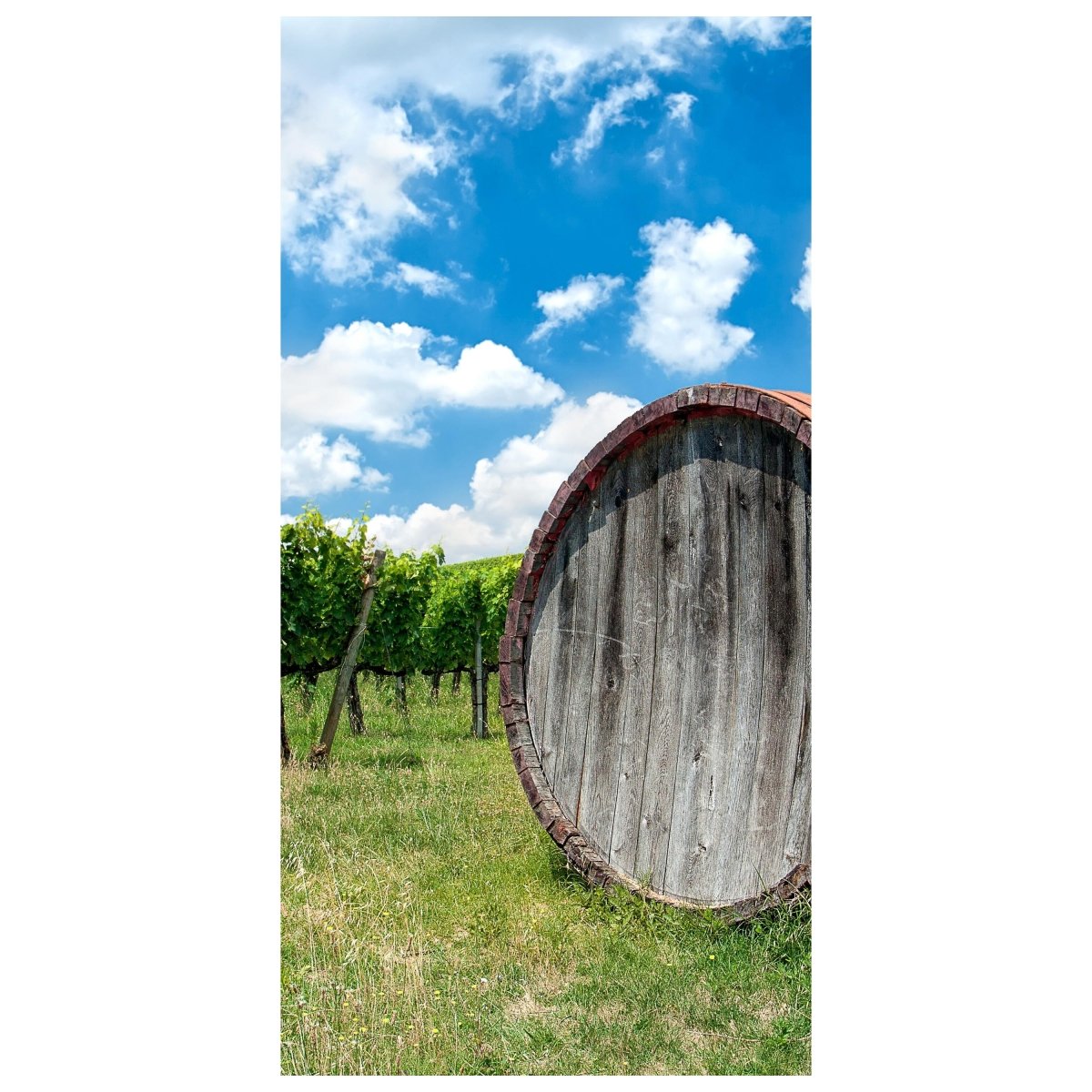 Türtapete Weinfass in der Toskana M0873 - Bild 2