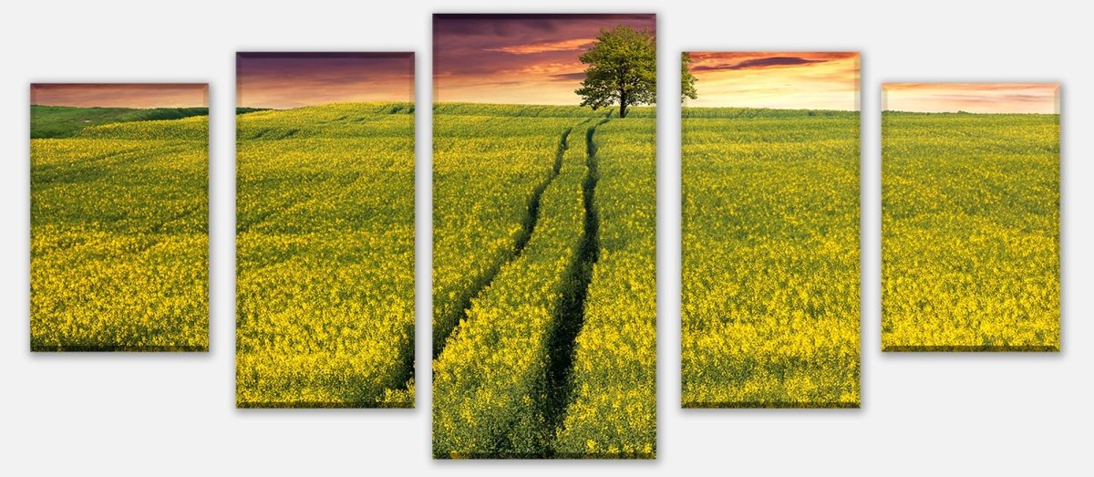 Leinwandbild Mehrteiler Landschaft mit einem Feld von gelben Blumen M0874 entdecken - Bild 1