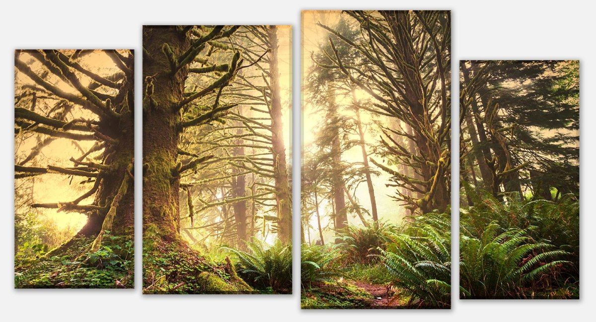 Canvas print Multi-piece Rainforest in the Olympic National Park M0887