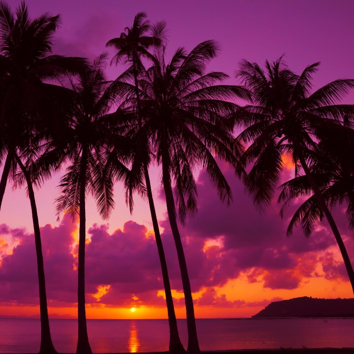Beistelltisch Palmen Silhouette bei Sonnenuntergang. Thailand M0889 entdecken - Bild 2