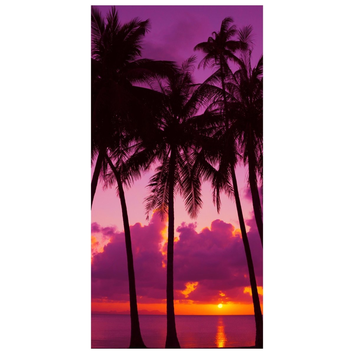 Türtapete Palmen Silhouette bei Sonnenuntergang. Thailand M0889 - Bild 2