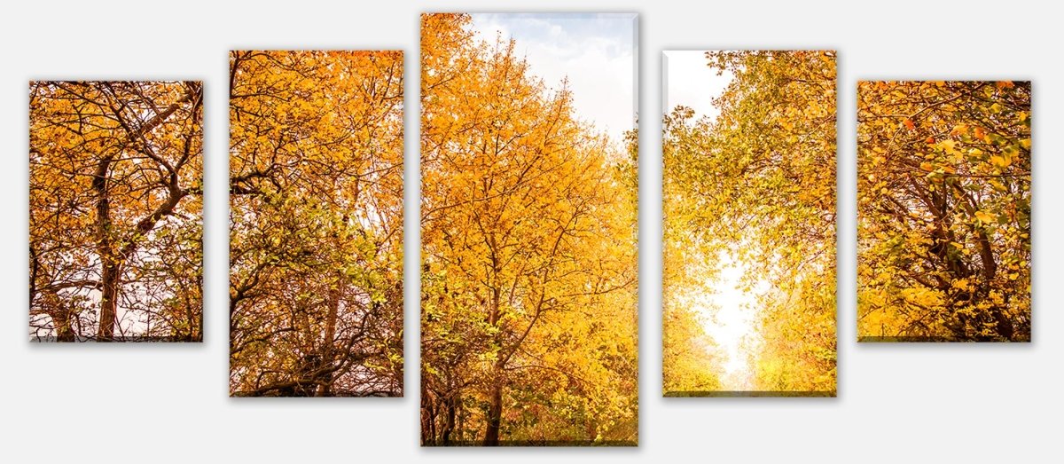 Leinwandbild Mehrteiler Herbstlandschaft in warmen Farben M0896 entdecken - Bild 1