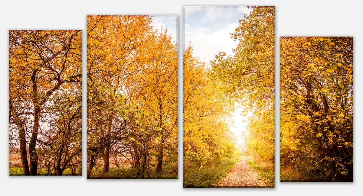 Leinwandbild Mehrteiler Herbstlandschaft in warmen Farben M0896
