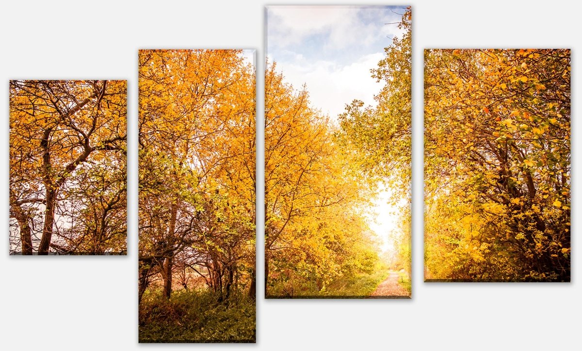 Leinwandbild Mehrteiler Herbstlandschaft in warmen Farben M0896