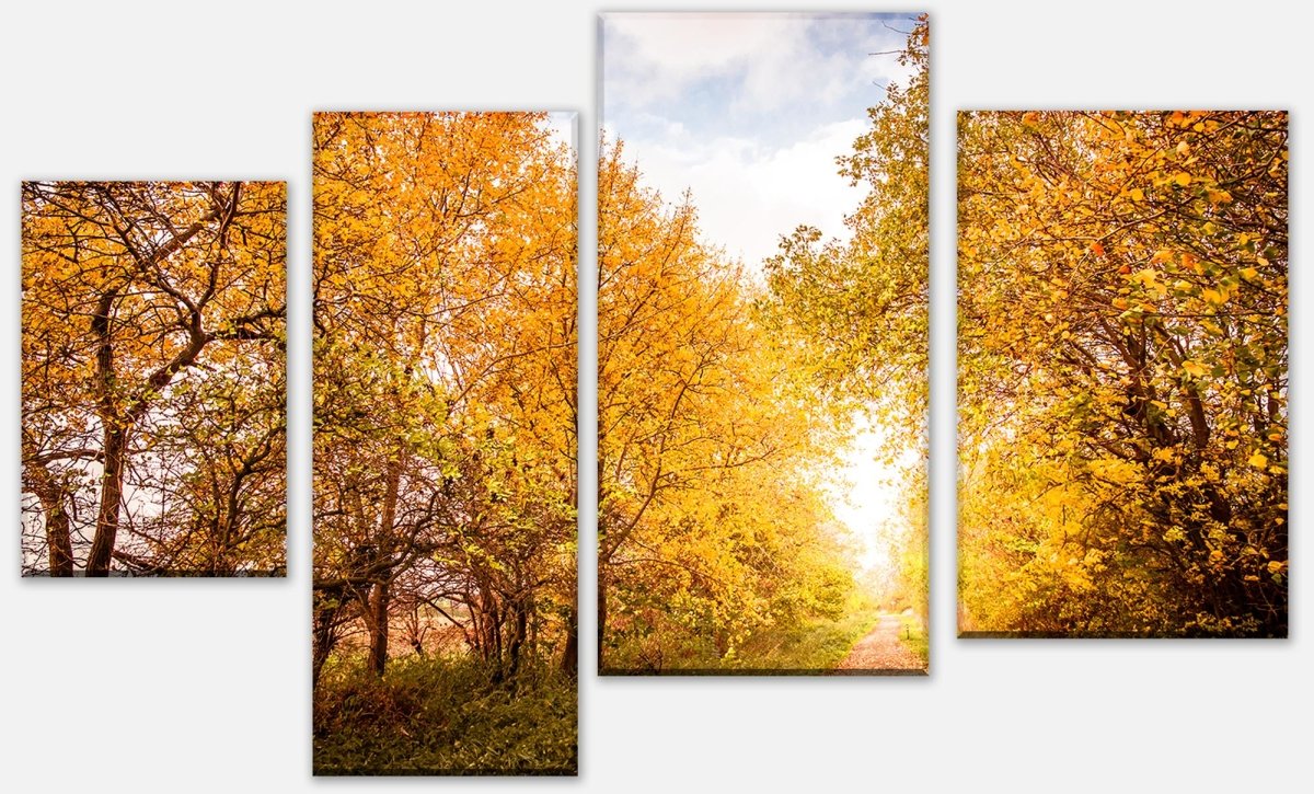 Stretched canvas print Autumn landscape in warm colors M0896