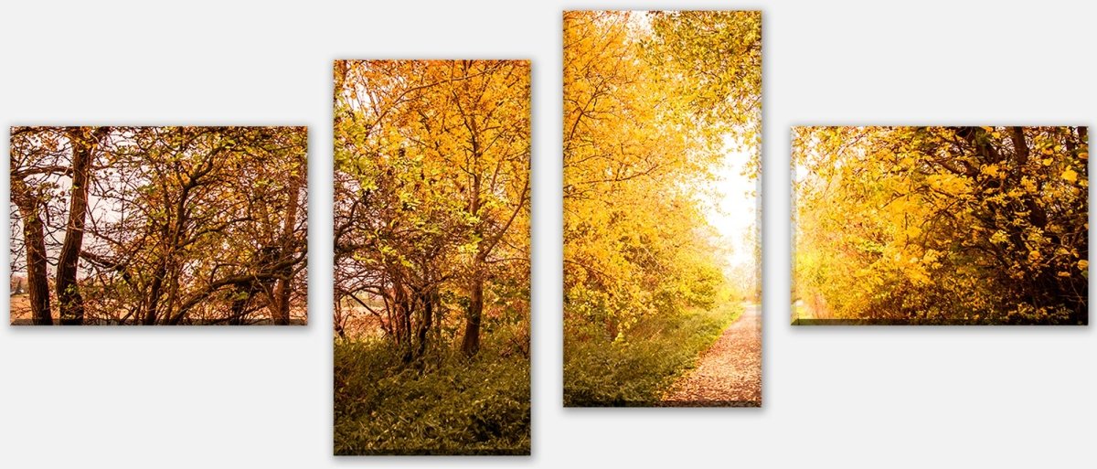 Stretched canvas print Autumn landscape in warm colors M0896