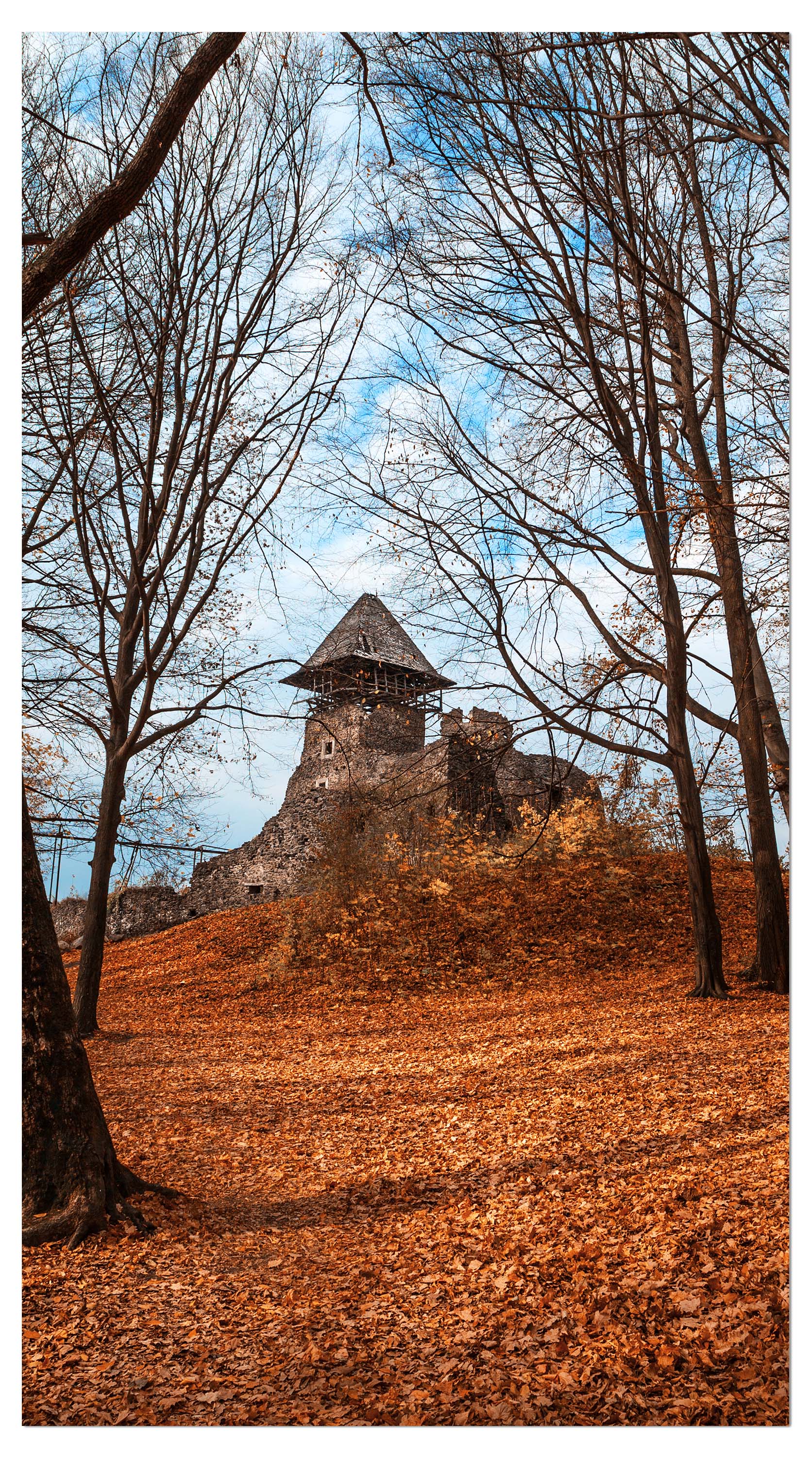 Garderobe Alte Burg im Herbst. Ukraine M0905 entdecken - Bild 4