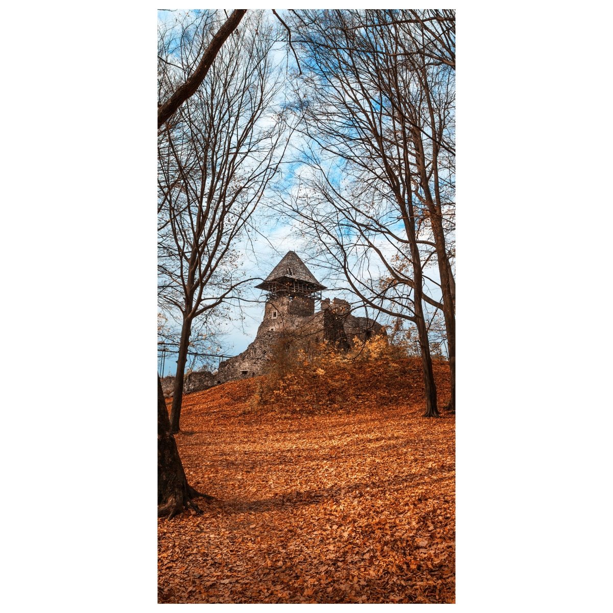 Türtapete Alte Burg im Herbst. Ukraine M0905 - Bild 2