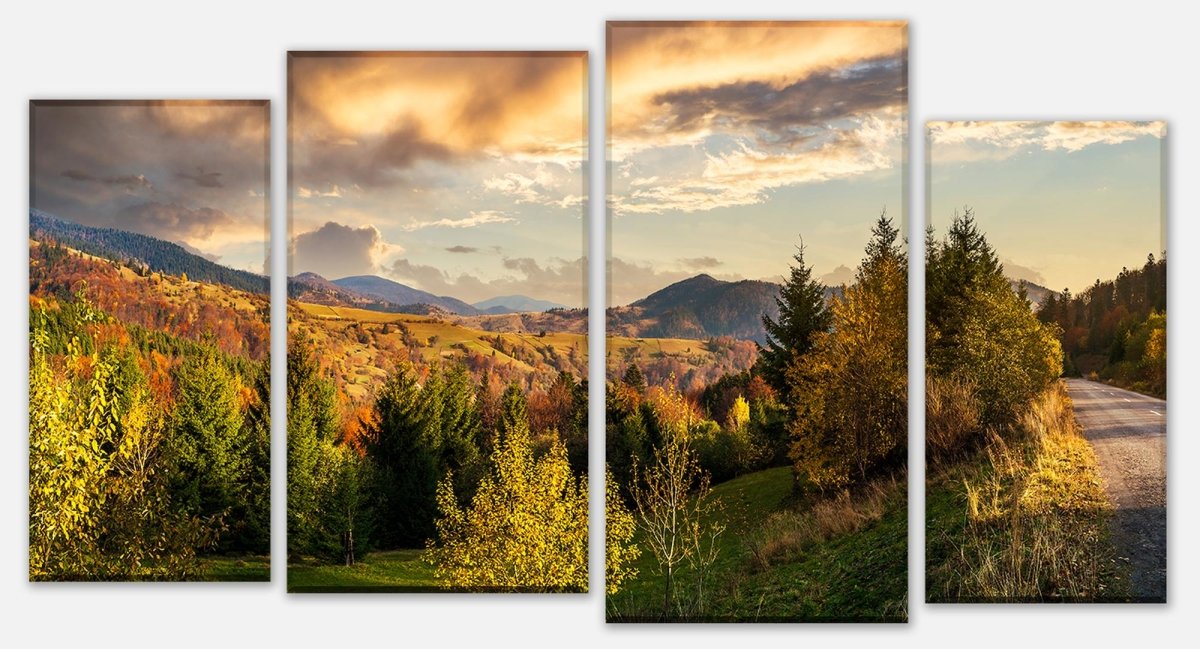 Stretched Canvas Print Slope of mountain range with coniferous forest M0908