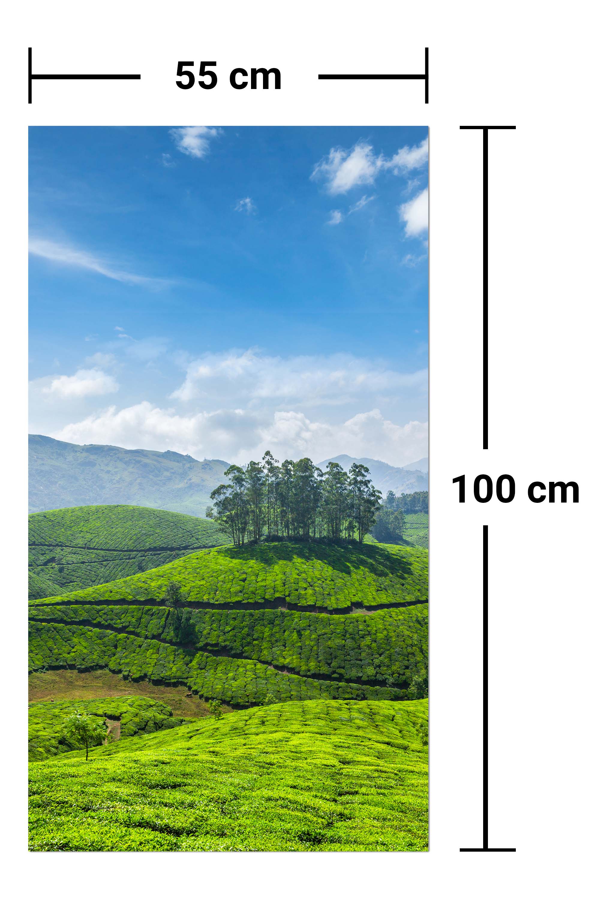 Garderobe Teeplantagen in Indien M0909 entdecken - Bild 7