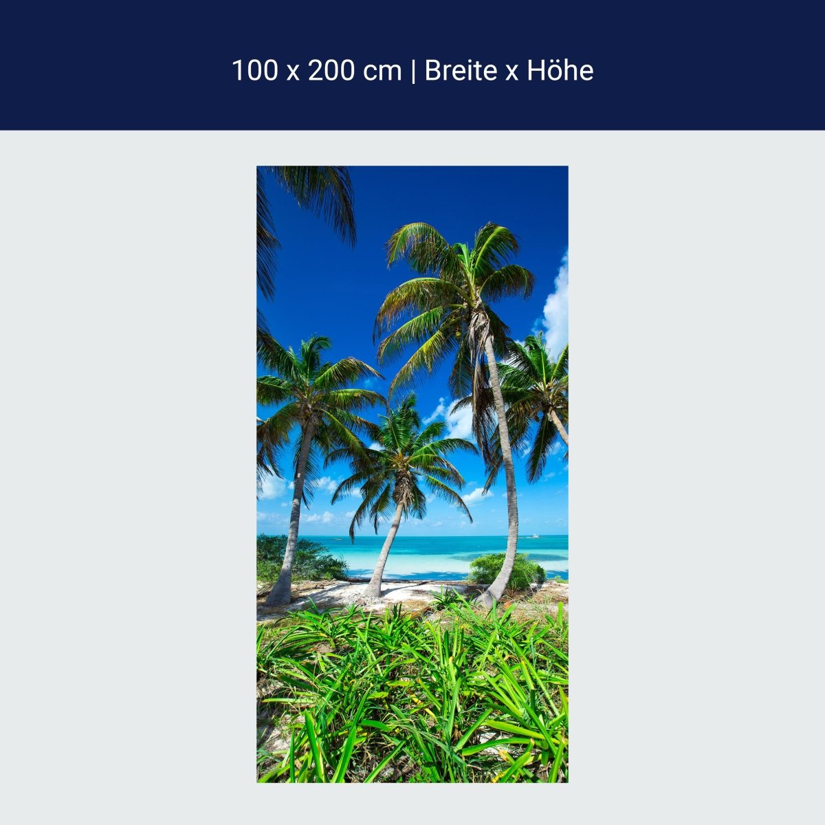 Paroi de douche palmiers sur une plage tropicale M0914