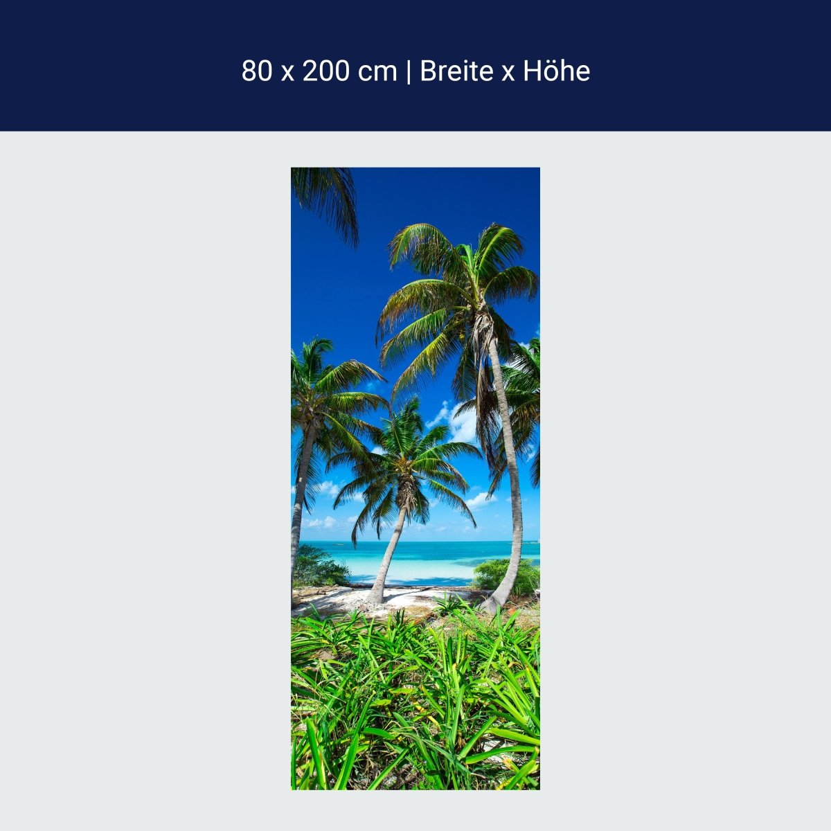 Duschwand Palmen an einem tropischen Strand M0914
