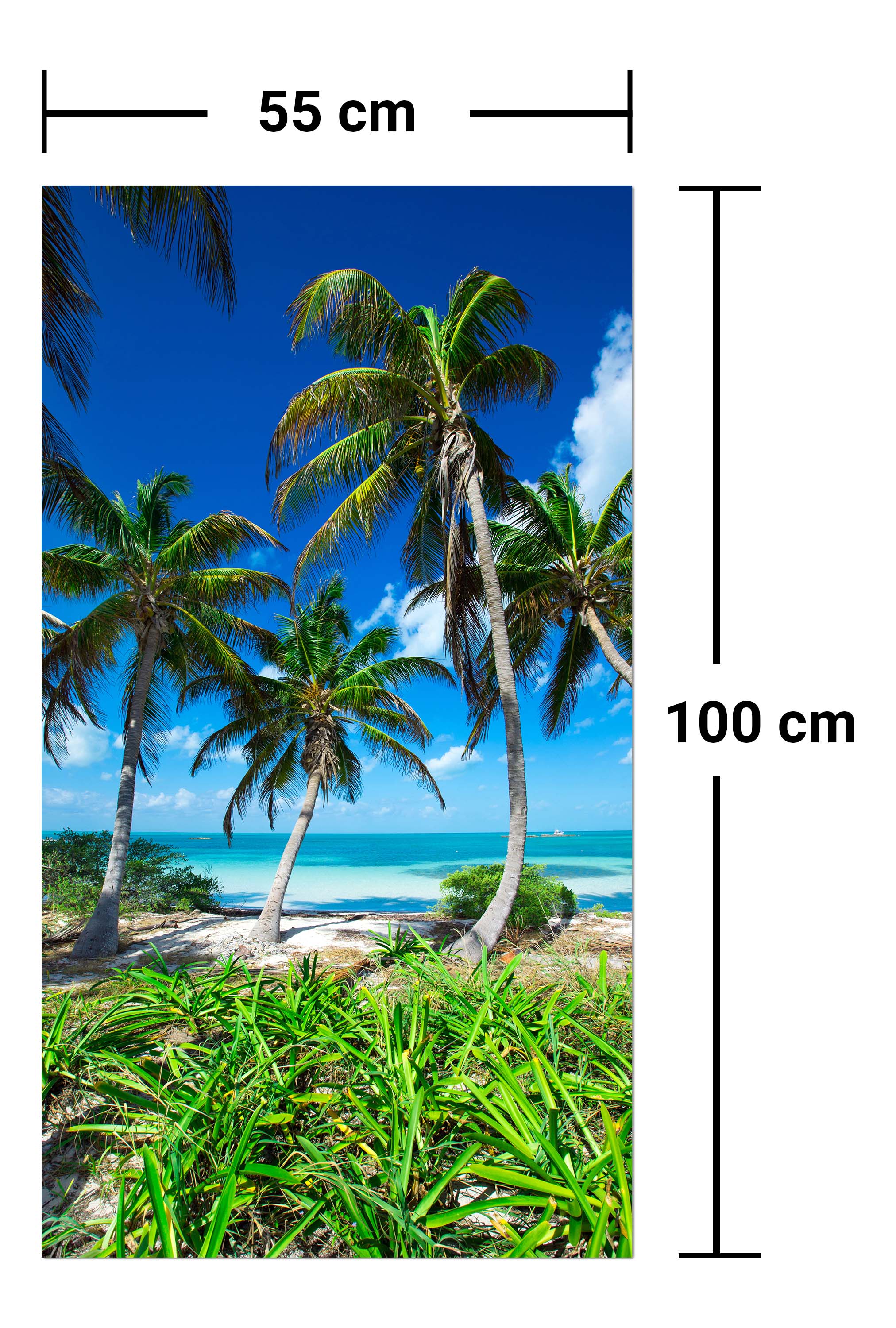 Garderobe Palmen an einem tropischen Strand M0914 entdecken - Bild 7