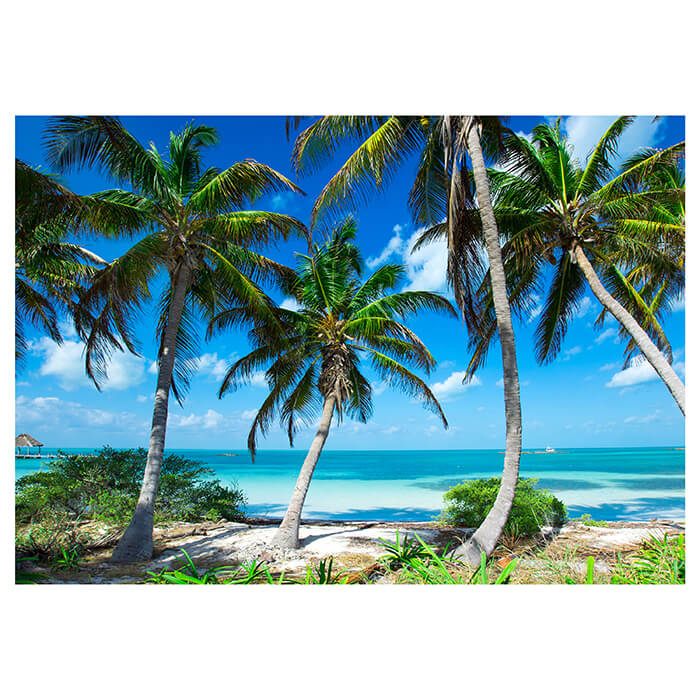 Fototapete Palmen an tropischem Strand M0914 - Bild 2