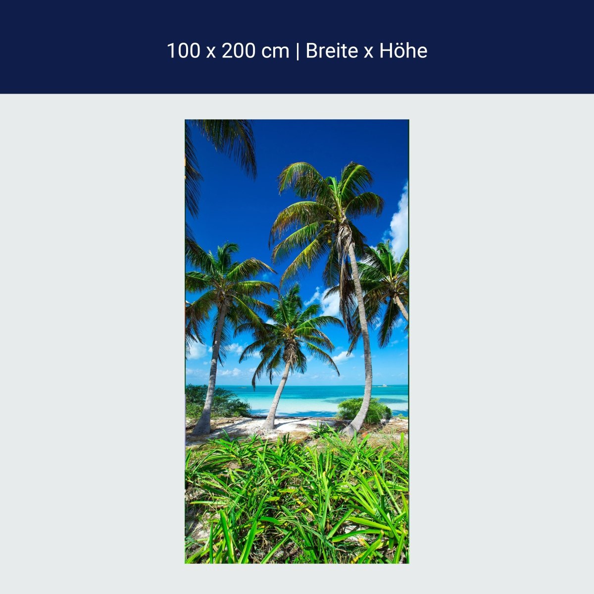 Türtapete Palmen an einem tropischen Strand M0914