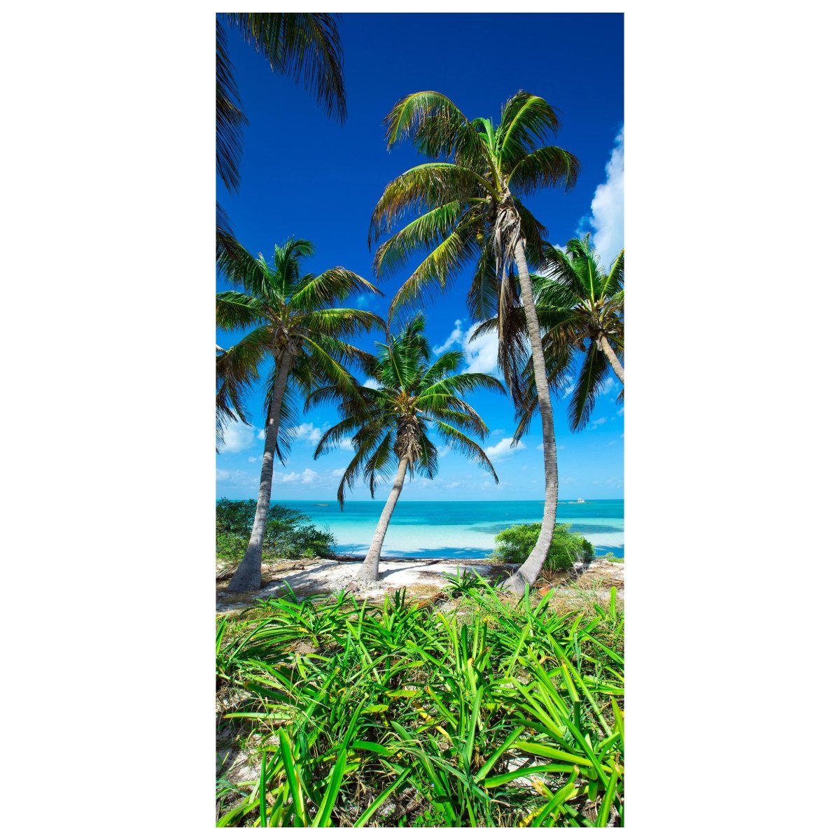 Türtapete Palmen an einem tropischen Strand M0914 - Bild 2