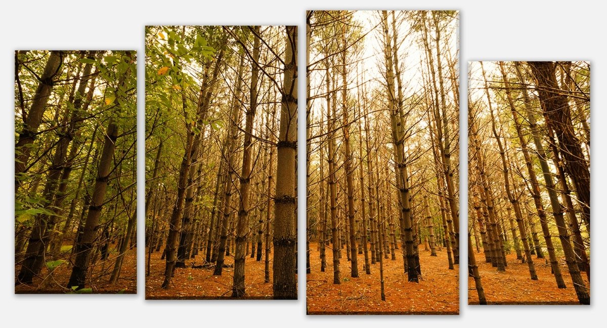 Stretched canvas print Colorful autumn landscape M0921