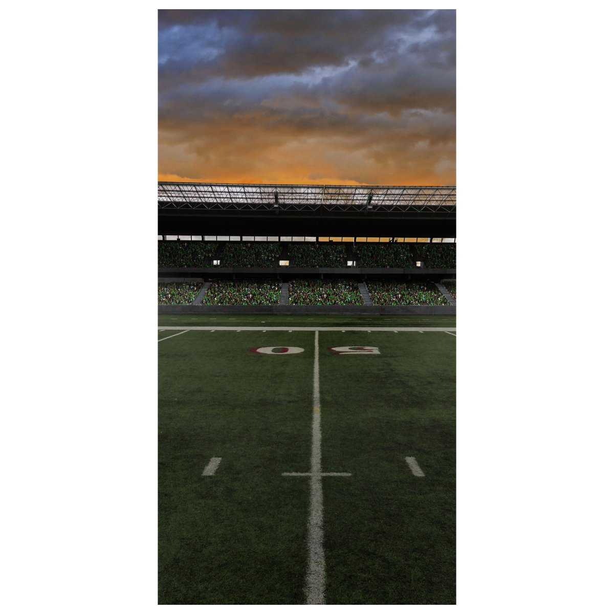 Türtapete American Football Stadium M0930 - Bild 2