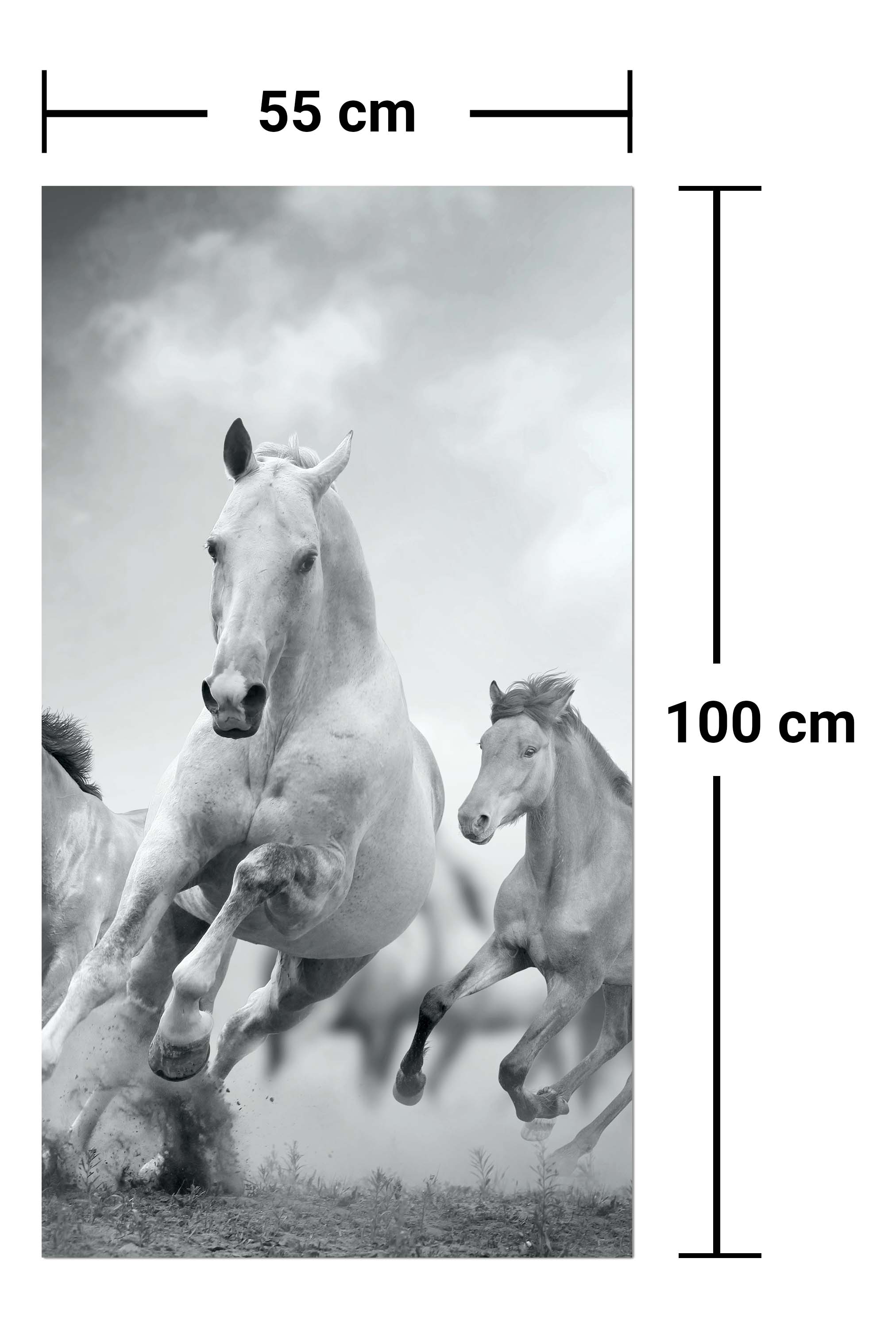 Garderobe Pferde laufen in Weiß und Schwarz M0945 entdecken - Bild 7
