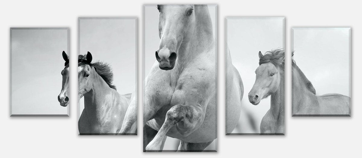 Leinwandbild Mehrteiler Pferde laufen in Weiß und Schwarz M0945 entdecken - Bild 1
