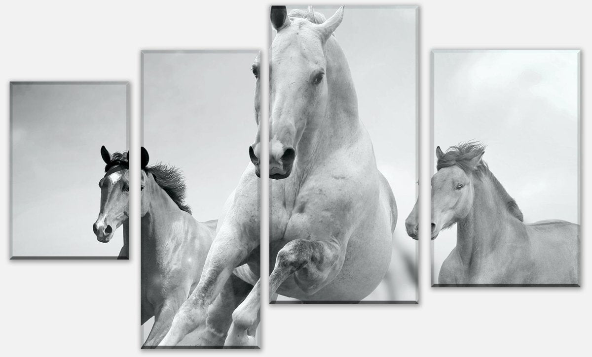 Leinwandbild Mehrteiler Pferde laufen in Weiß und Schwarz M0945