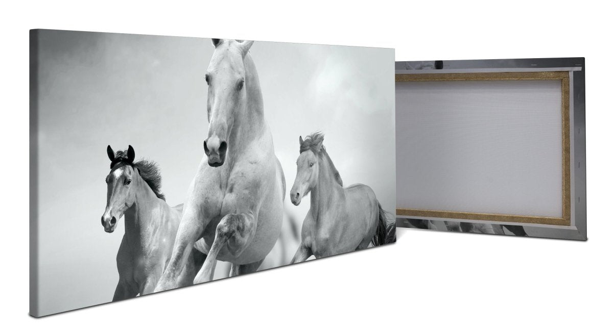 Leinwandbild Pferde laufen in Weiß und Schwarz M0945 - Bild 1