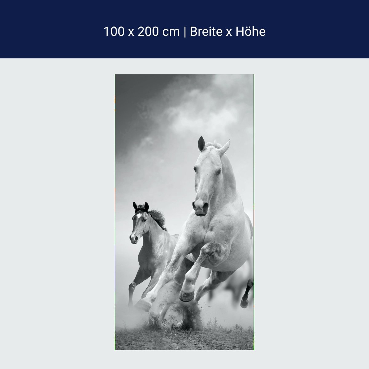 Türtapete Pferde laufen in Weiß und Schwarz M0945