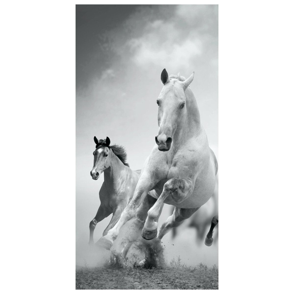 Türtapete Pferde laufen in Weiß und Schwarz M0945 - Bild 2