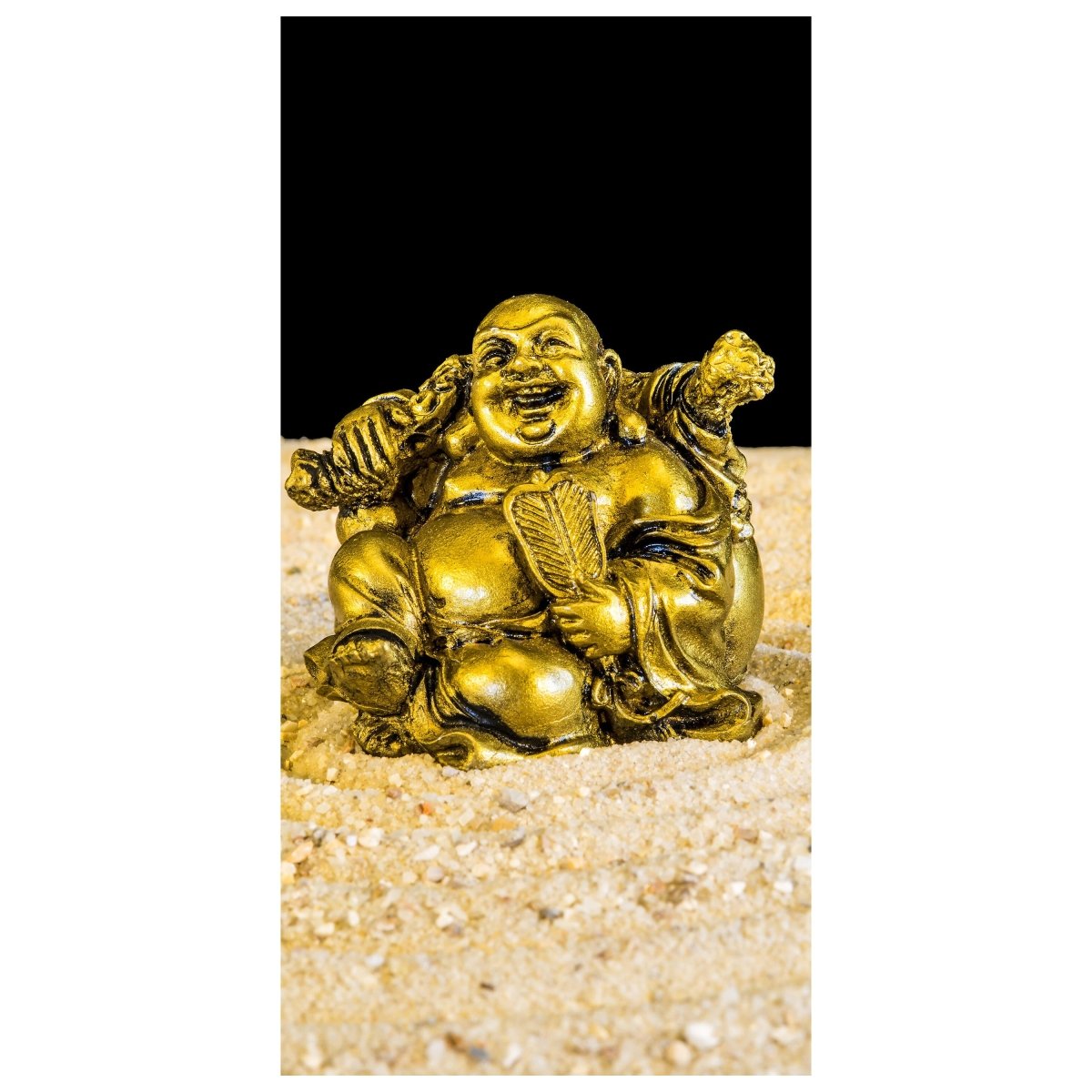 Türtapete Goldener Buddha im Zen-Kreis M0956 - Bild 2