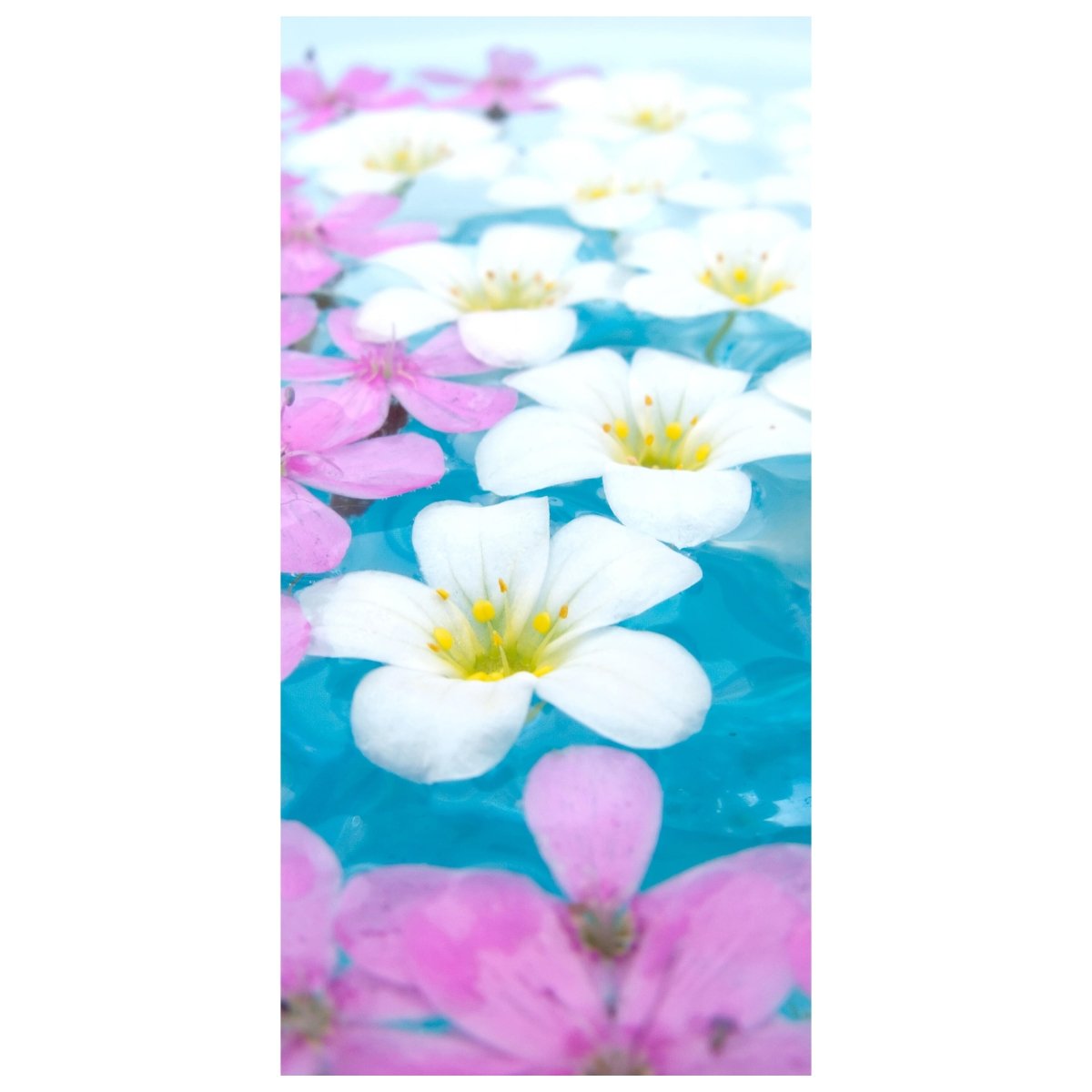 Türtapete Weiße und rosa Blumen M1001 - Bild 2