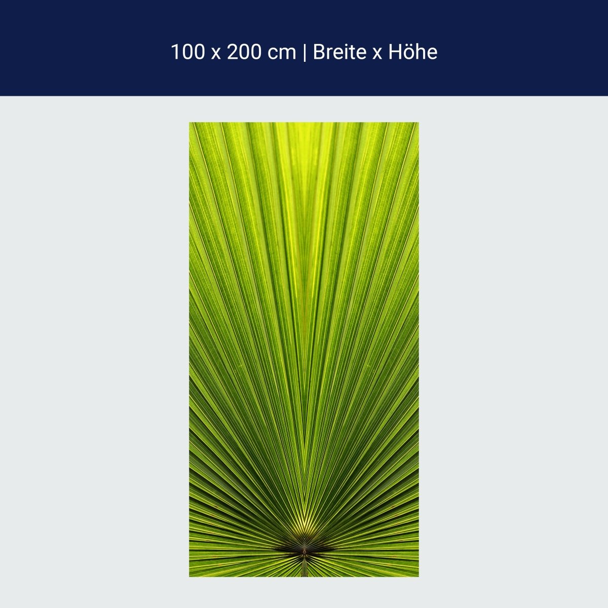 Duschwand Palmblatt Nahaufnahme M1003